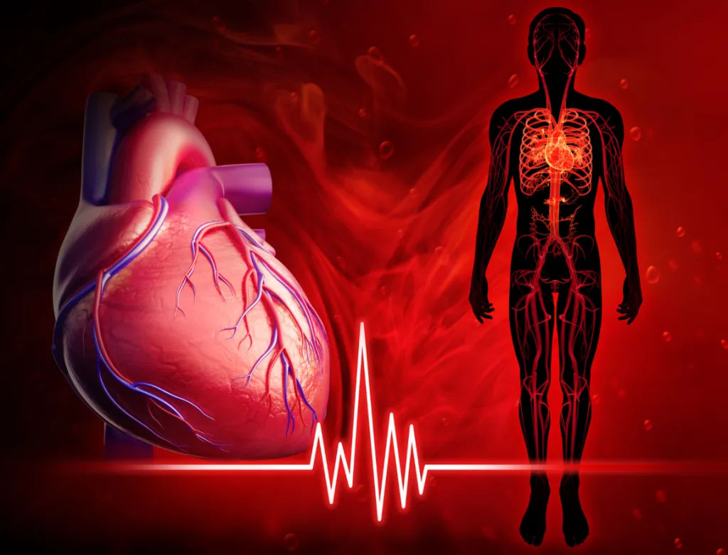 heart